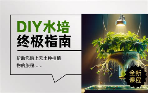 水培|DIY水培终极指南